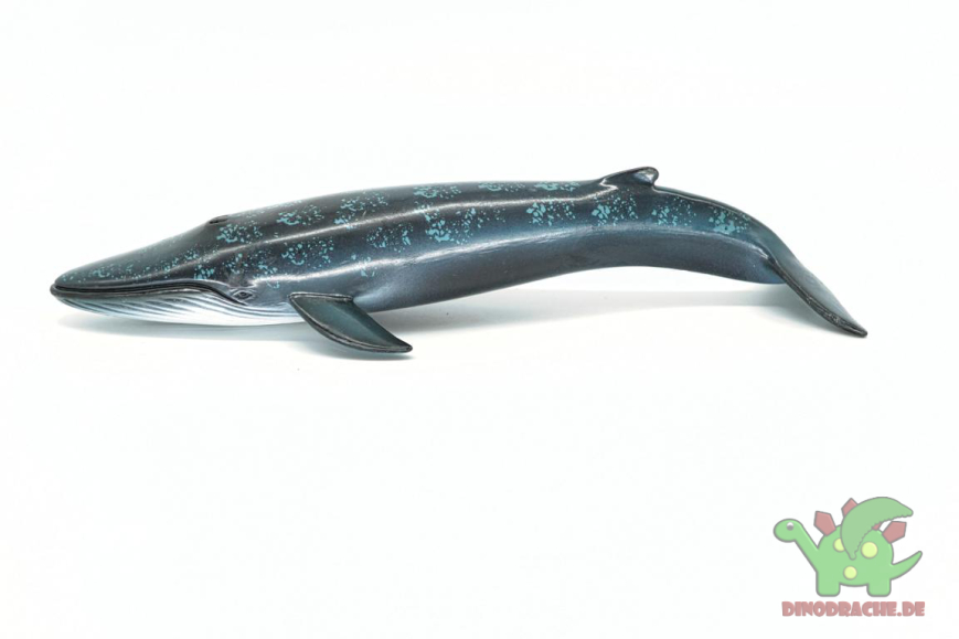 Schleich Blauwal 14552